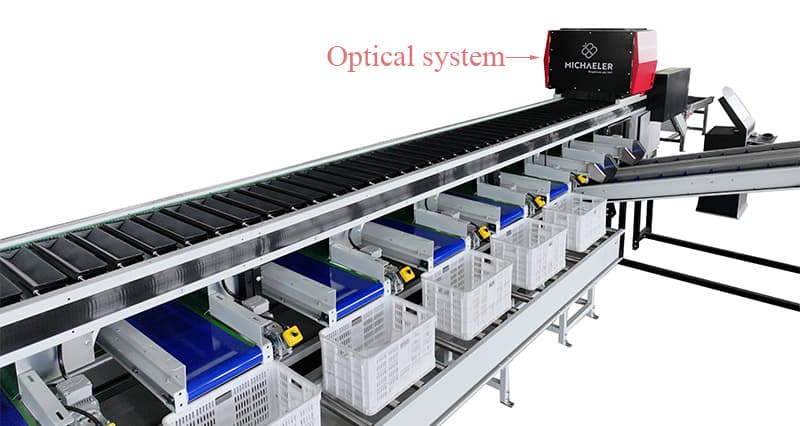 vegetable optical sorting machine.jpg